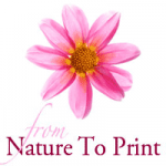 corporate Blog von Nature to Print