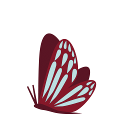 Blumenbilder