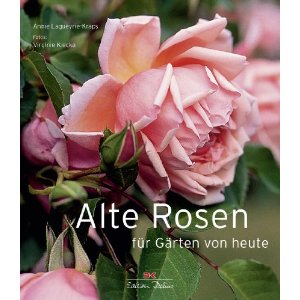 Alte Rosen für Gärten von heute.