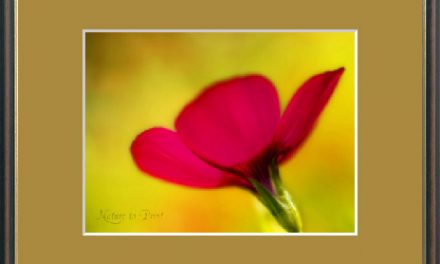 Blumenbild bestellen, so konfigurieren Sie individuelle Details