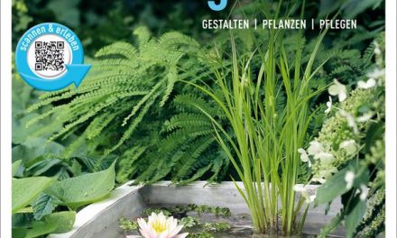Mini-Wassergärten. Gestalten, pflanzen, pflegen.