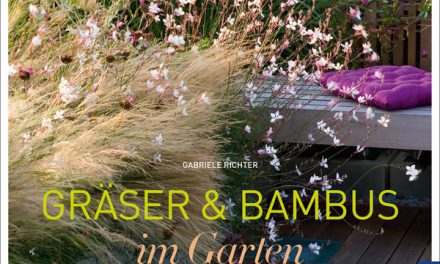 Gräser und Bambus im Garten. So schürt man Lust auf Veränderung im Garten!