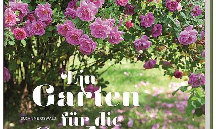 Ein Garten für die Seele