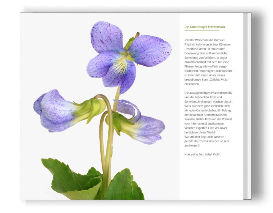 00_Viola RückTitel END-Presse