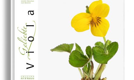 Geliebte Viola – Das Otterswanger Veilchenbuch