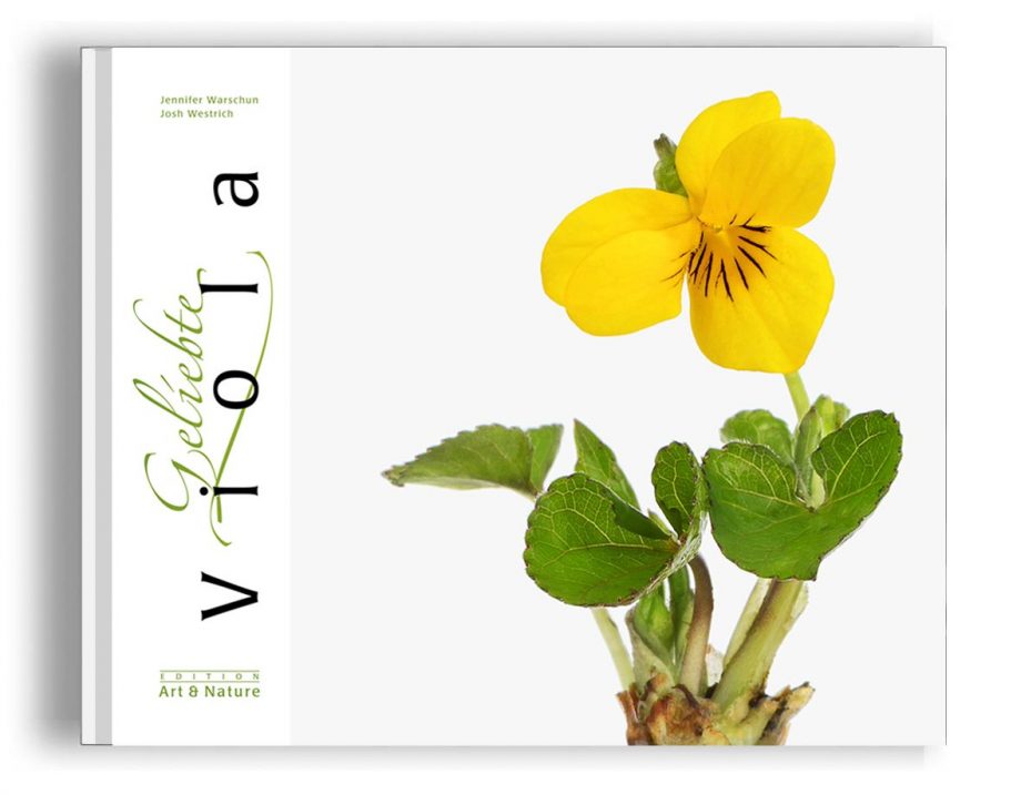 Geliebte Viola, ein Bildband mit Fotos von Josh Westrich