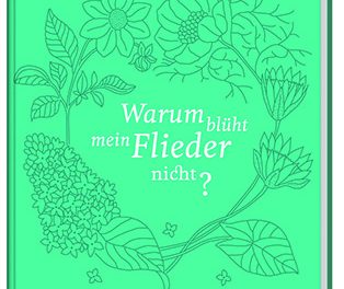 Gartenratgeber Warum blüht mein Flieder nicht?