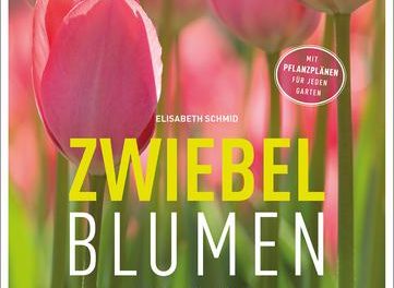 Gartenbuch Zwiebelblumen. Ganzjährig Beete gestalten.