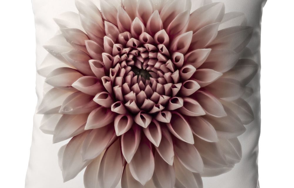 Blumenkissen Dahlie mit Wow-Effekt