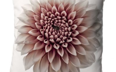Blumenkissen Dahlie mit Wow-Effekt