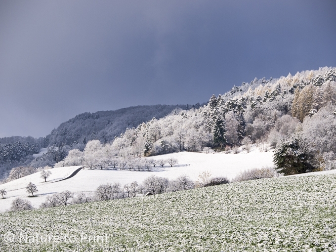 Plötzlich Winter und 1. Schnee im Garten