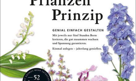 Garten einfach gestalten nach dem 5-Pflanzen-Prinzip.