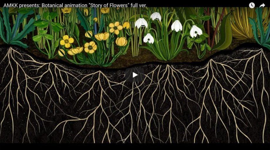 Botanical Animation