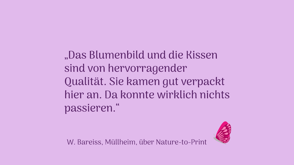 Blumenbild und Kissen sind von hervorragender Qualität