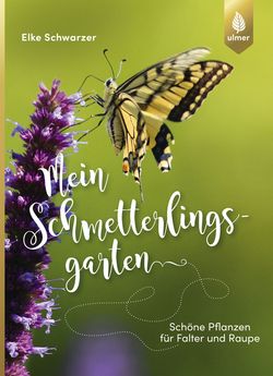 Mein-Schmetterlingsgarten_| Schmetterlinge