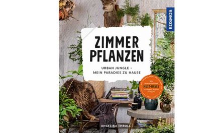 Urban Jungle zu Hause. So klappt’s mit Zimmerpflanzen von Instagram & Co