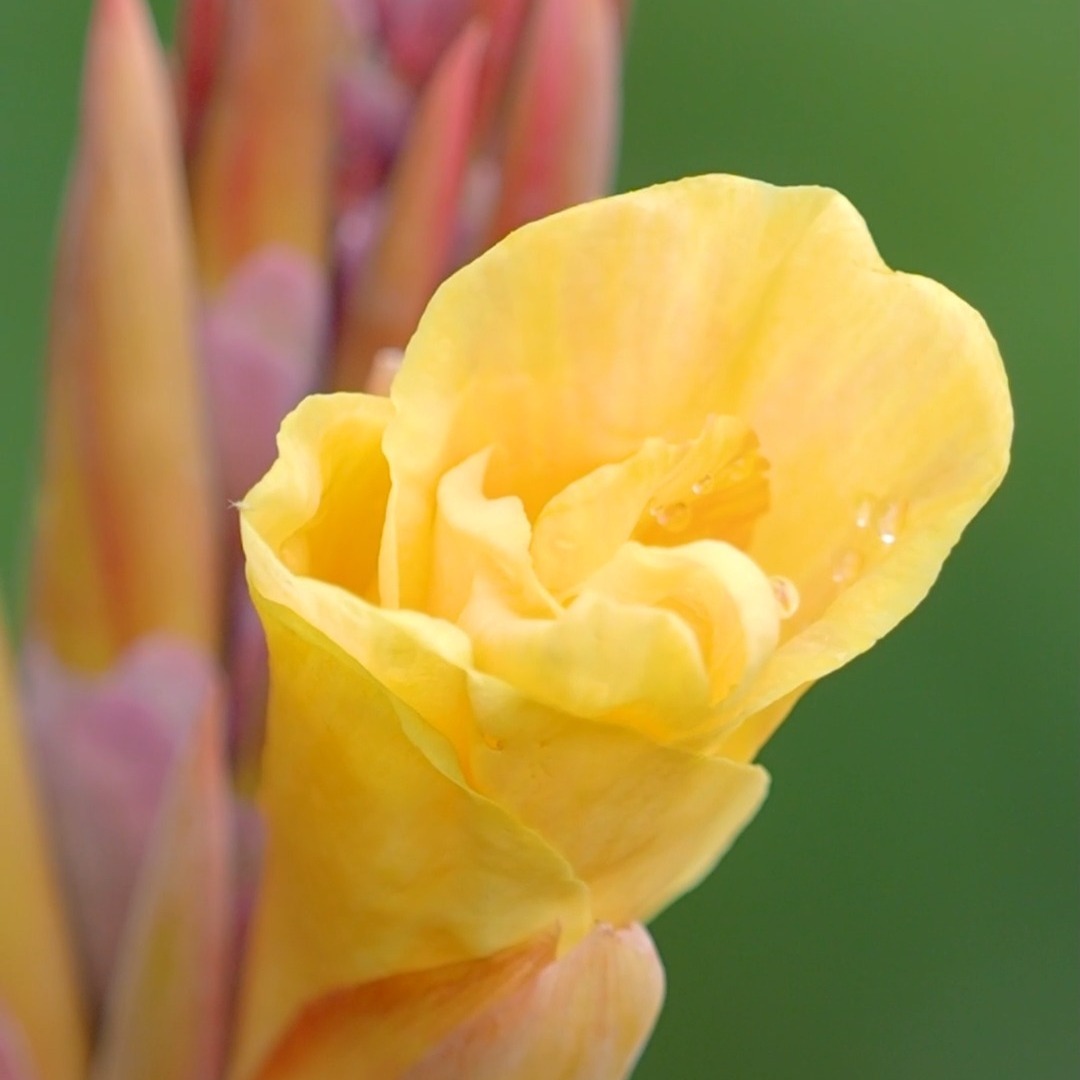HerbstDeko für Zuhause. Schnelle Ideen nach Maß.