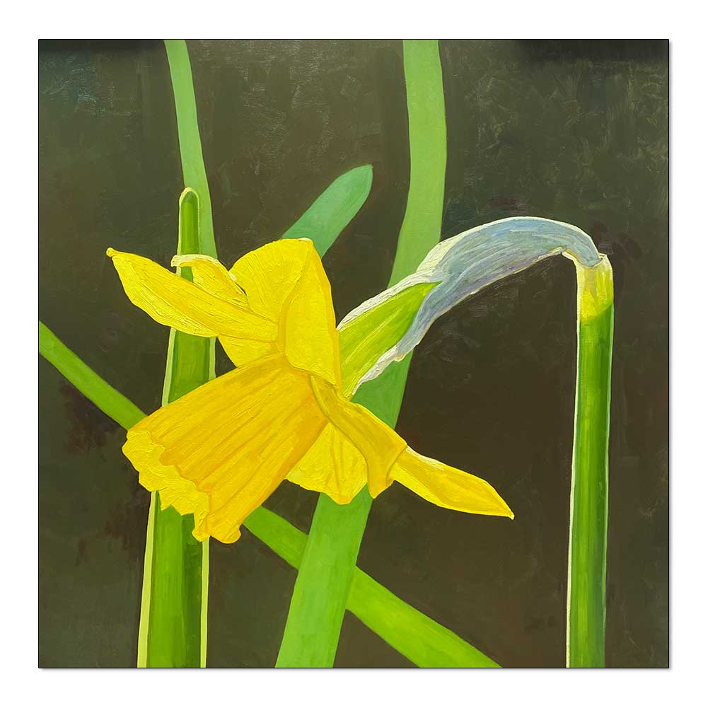 Blumen inspirieren Kunstmaler Gary Westall | Die Narzisse steht Spalier