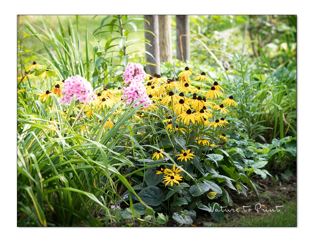 Gartenarbeiten im September. Was gibt’s zu tun im Blumengarten?