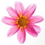 @mynaturetoprint
