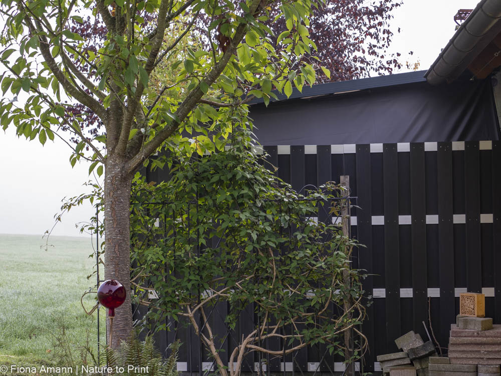 Sichtschutzwand und Markise schützten für Wind und Blättern