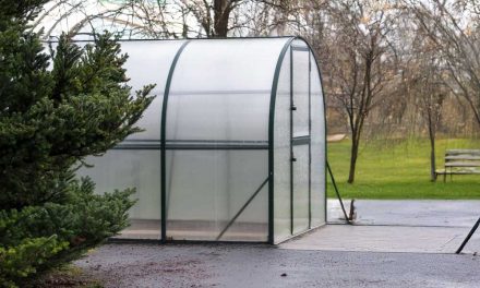 Ein kleines Gewächshaus für Balkon & Garten. Preiswert, praktisch und gut