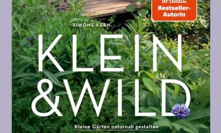 Klein & wild ist schön und gut