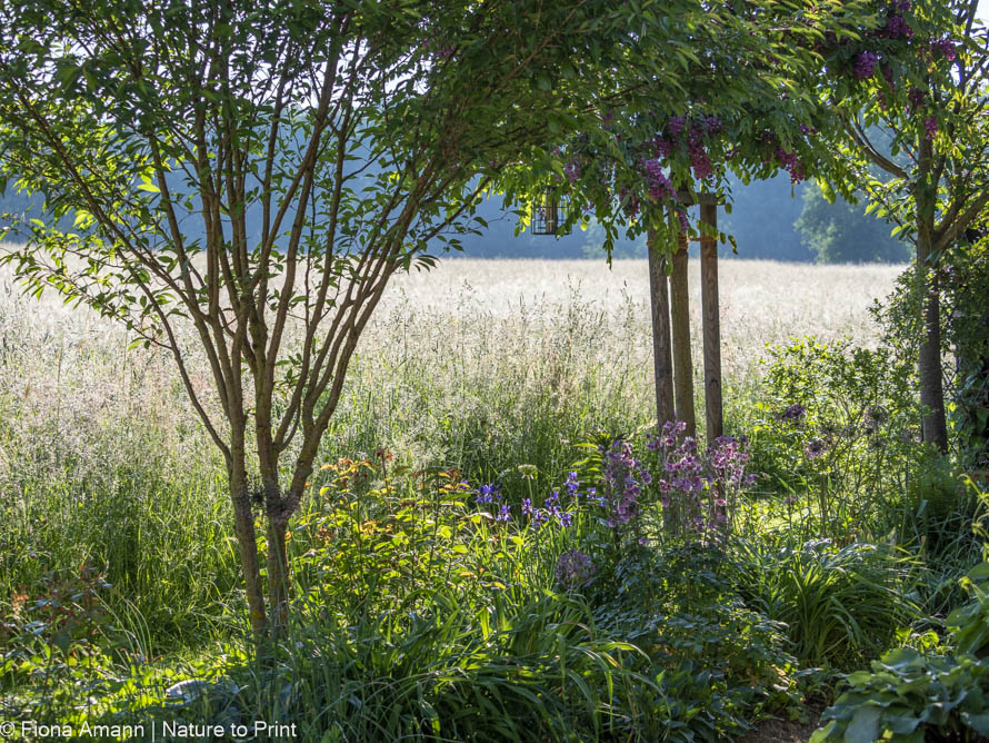 Kleine Bäume sind wichtig für den kleinen Naturgarten