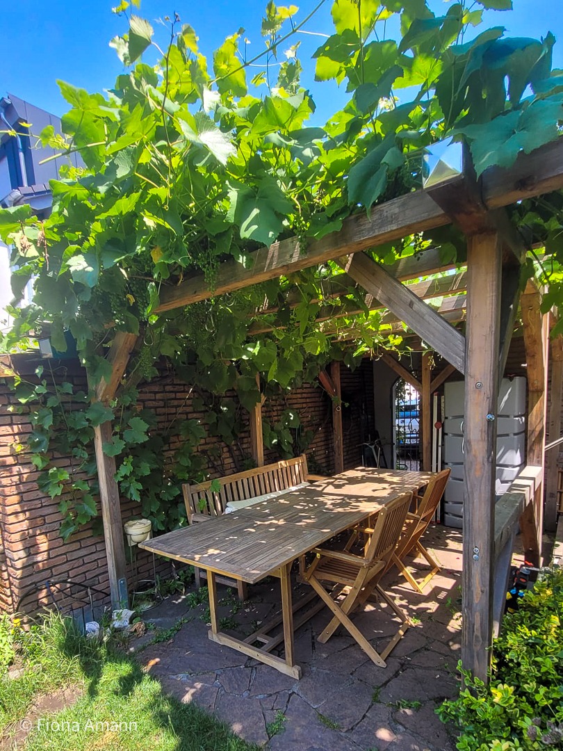 Pergola aus einem Rankgerüst aus Holz