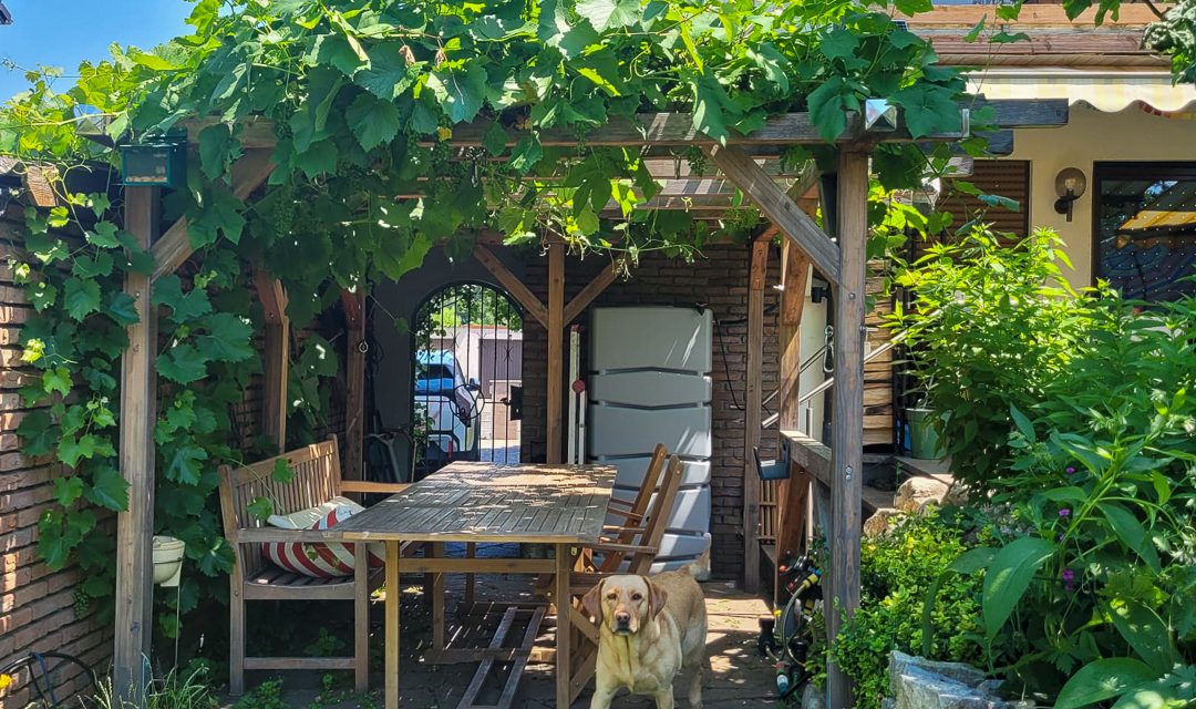 Eine Pergola macht den Unterschied