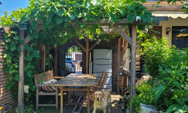 Eine Pergola macht den Unterschied